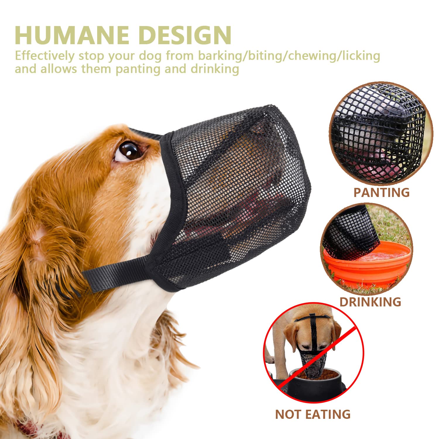 Whongkidz soft nylon muzzle on a small dog illustrating a gentle, secure fit.