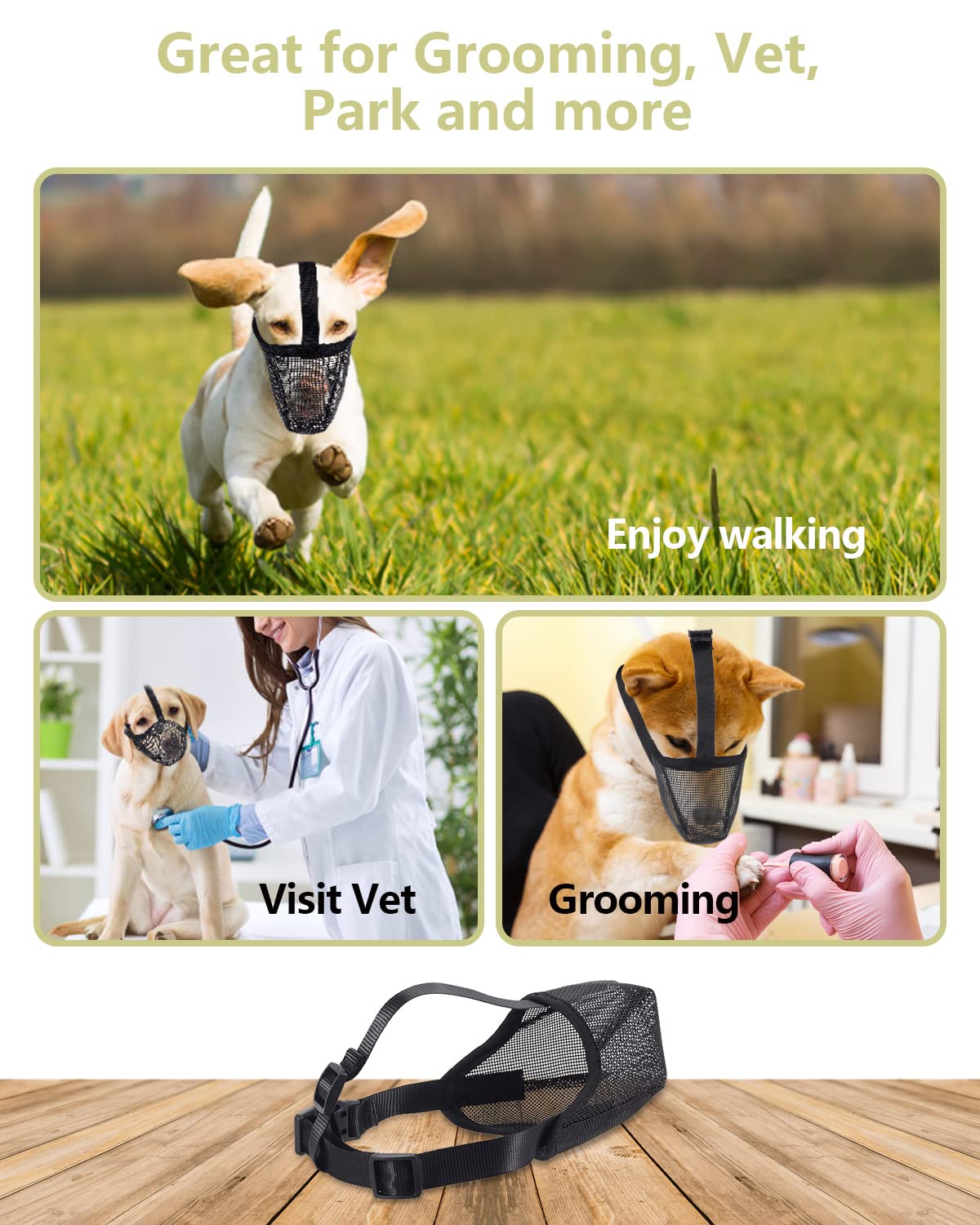 Whongkidz training image highlights gradual introduction with treats for better muzzle acceptance.