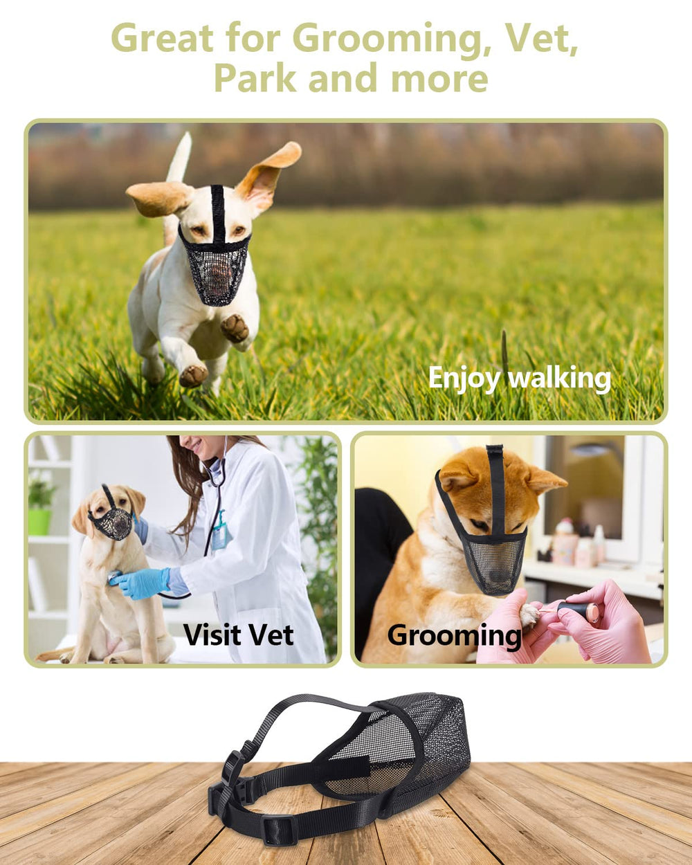 Whongkidz training image highlights gradual introduction with treats for better muzzle acceptance.