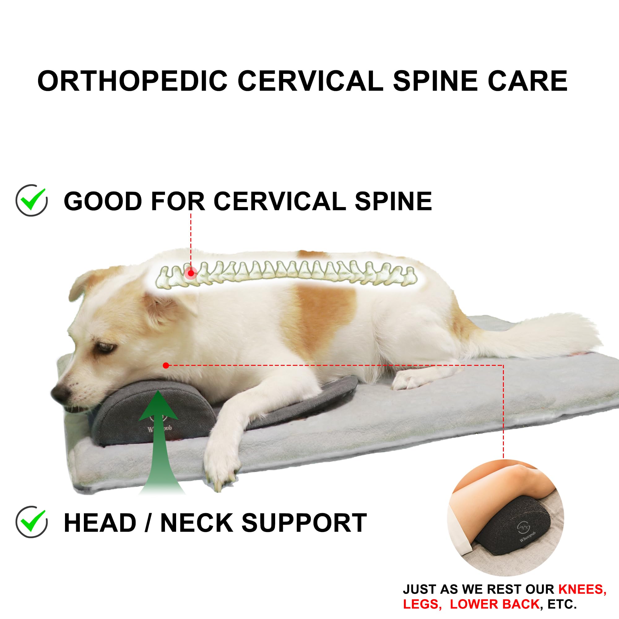 Whoopub dog bolster pillow travel-use shot emphasizes easy transport and daily comfort.