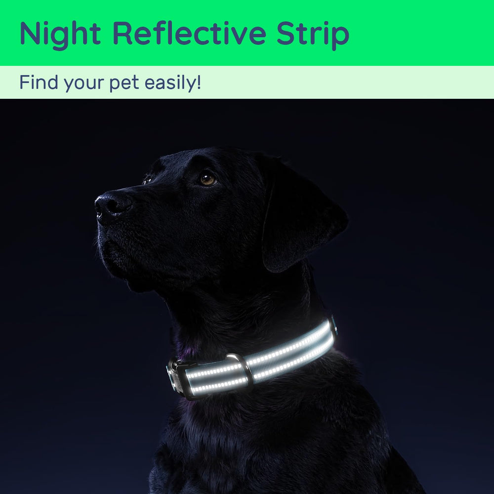 WhoseID adjustable-four-sizes collar ensures proper fit across breeds and growth