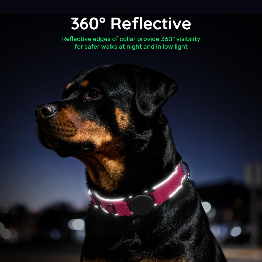 WhoseID Airtag Dog Collar withstands 400lbs of pull for active dogs.