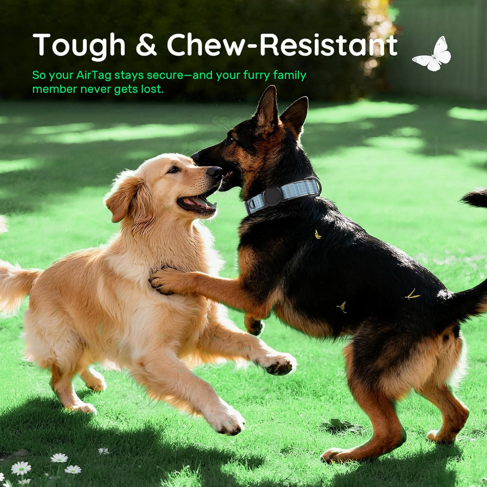 WhoseID Airtag dog collar neoprene lining keeps pets comfortable.