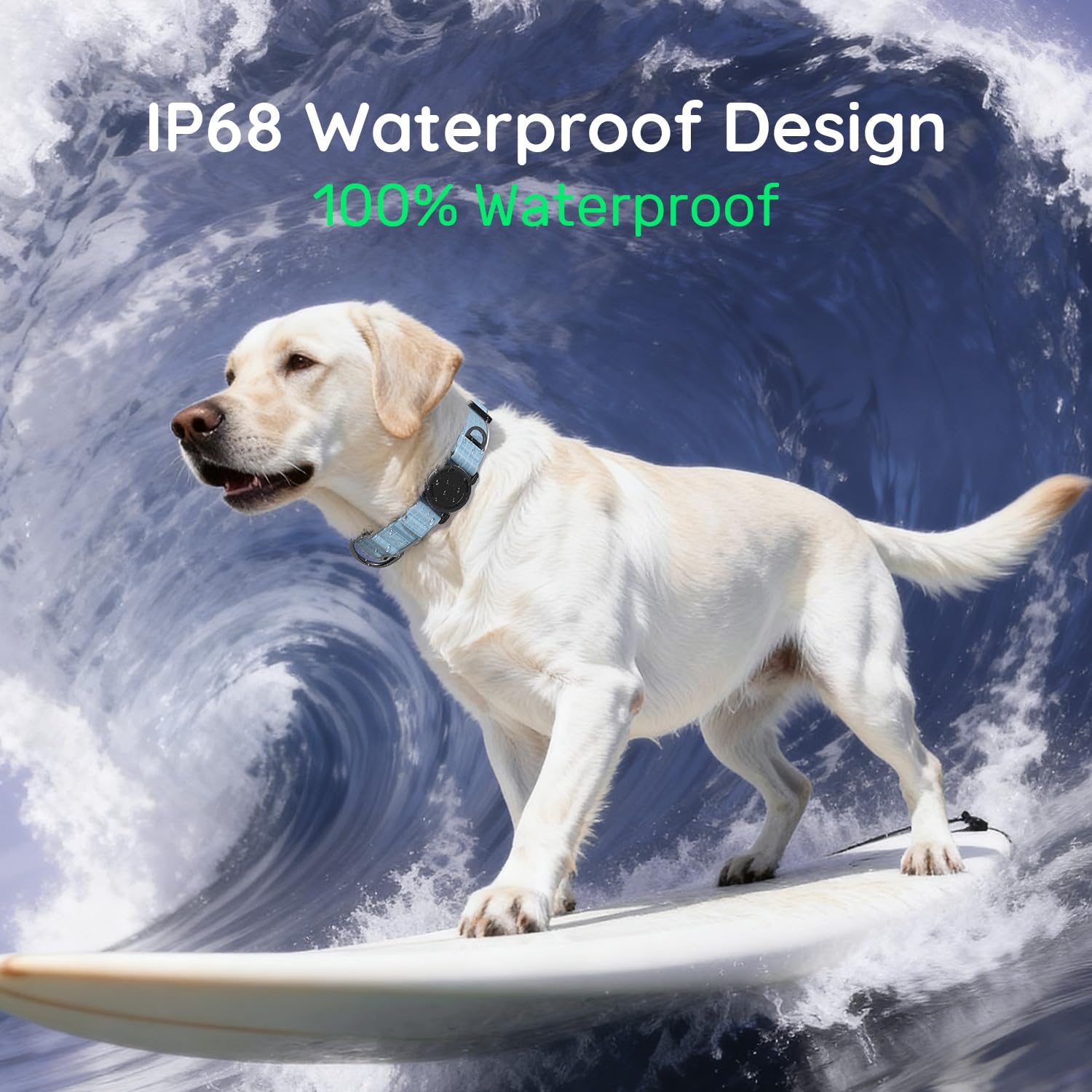 WhoseID Airtag dog collar QR code ID for quick lost-pet contact.