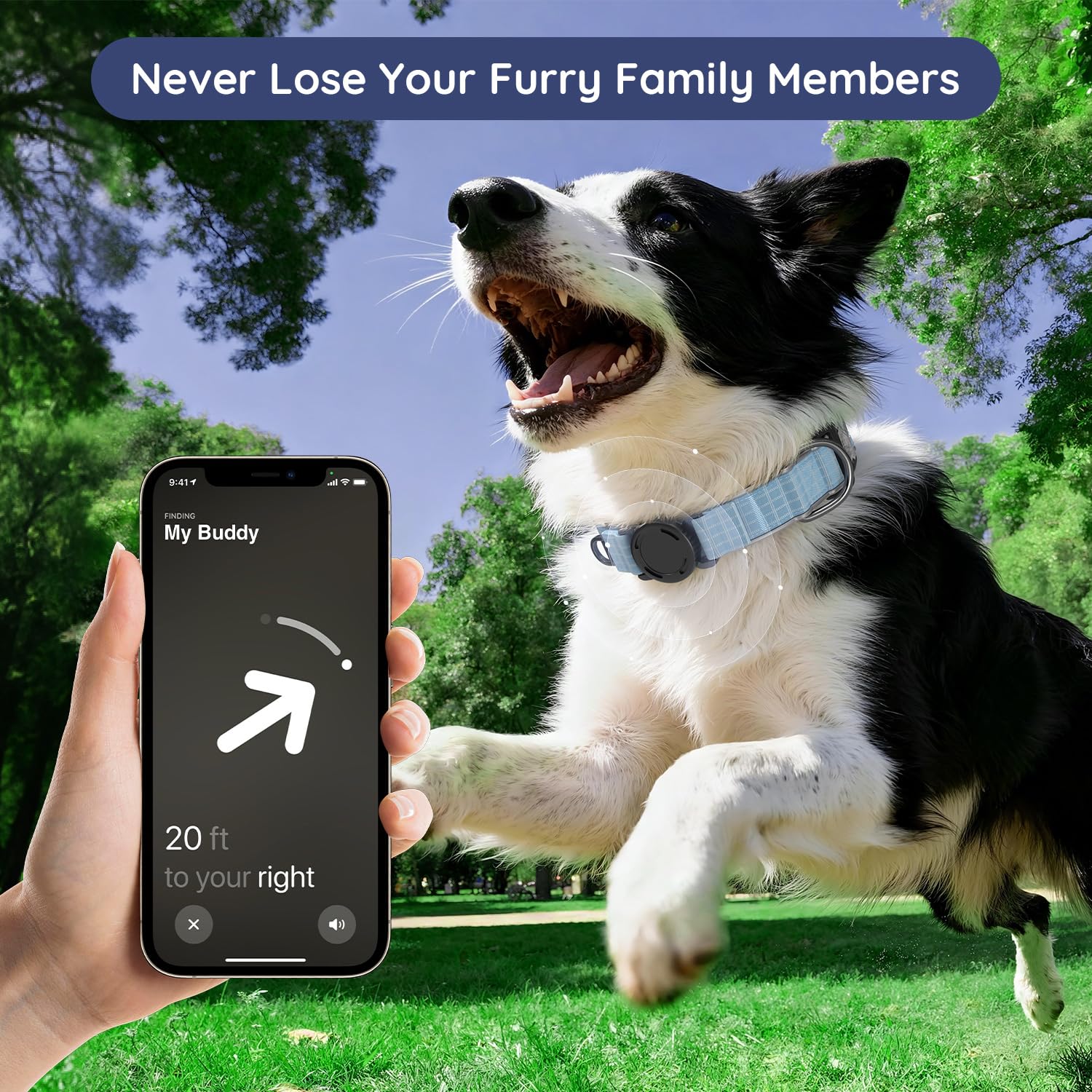 WhoseID Airtag dog collar reflective stitching improves nighttime visibility.