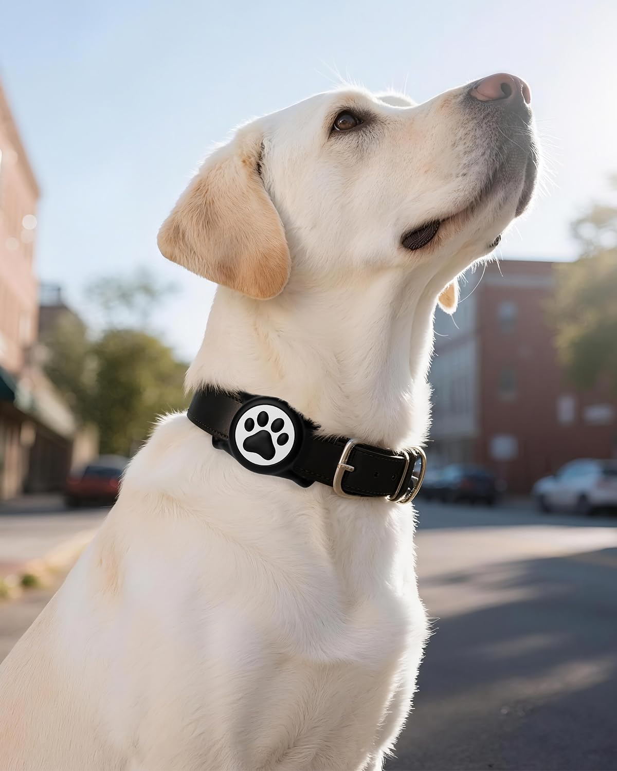 WhoseID IP68 waterproof AirTag holder protects devices during water exposure.