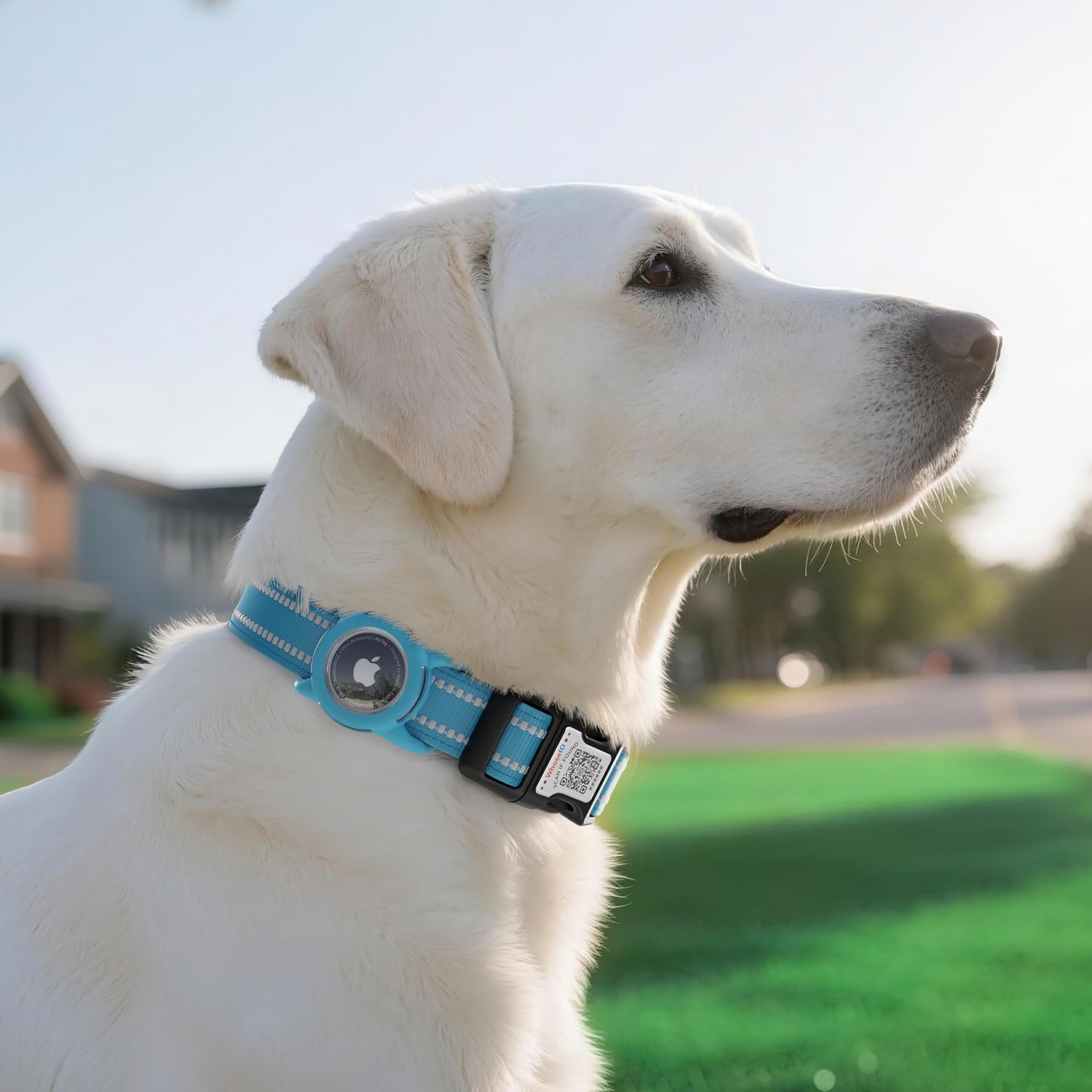 WhoseID airtag-holder-on-collar secures tracking access when a pet wanders