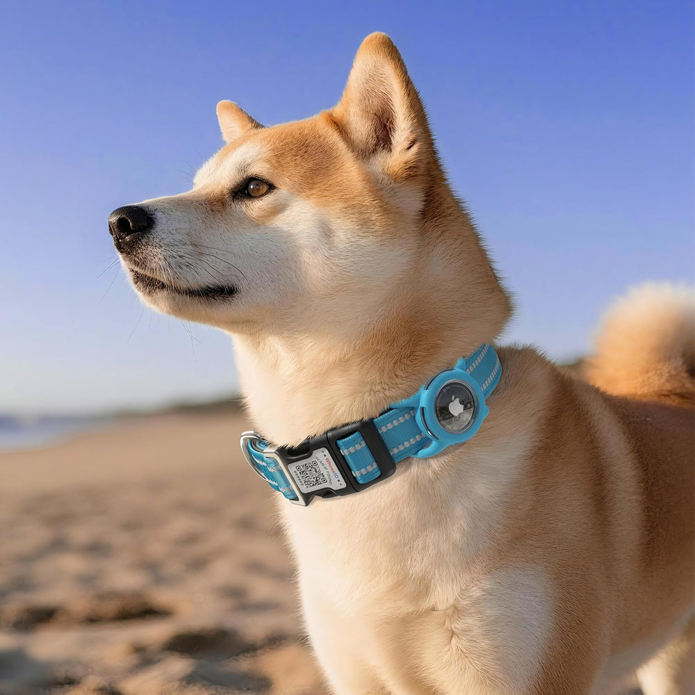 WhoseID daily-walk-use collar resists wear for busy outdoor adventures