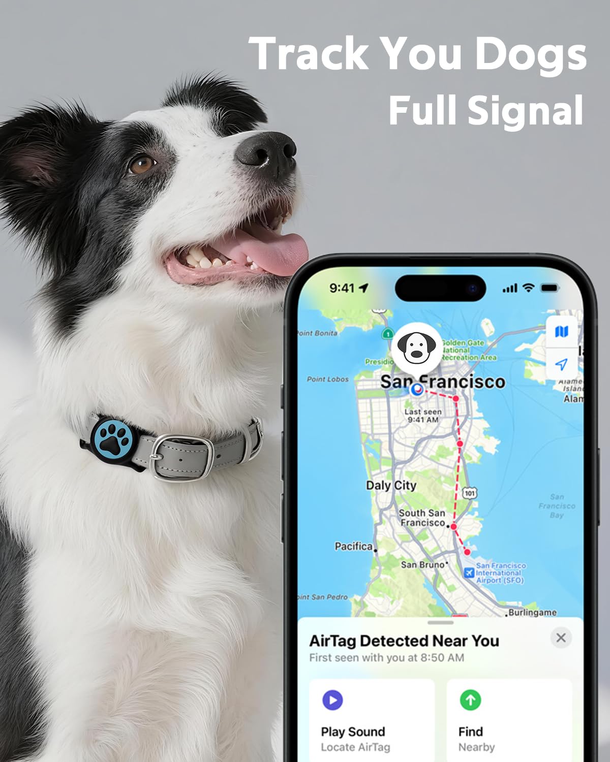 WhoseID stretchy strap adjusts to different collar widths on pets