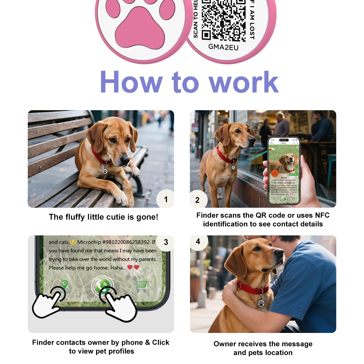 WhoseID QR Cat Tag Rose mobile profile view shows easy access to updated pet details.
