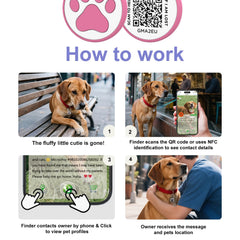 WhoseID QR Cat Tag Rose mobile profile view shows easy access to updated pet details.