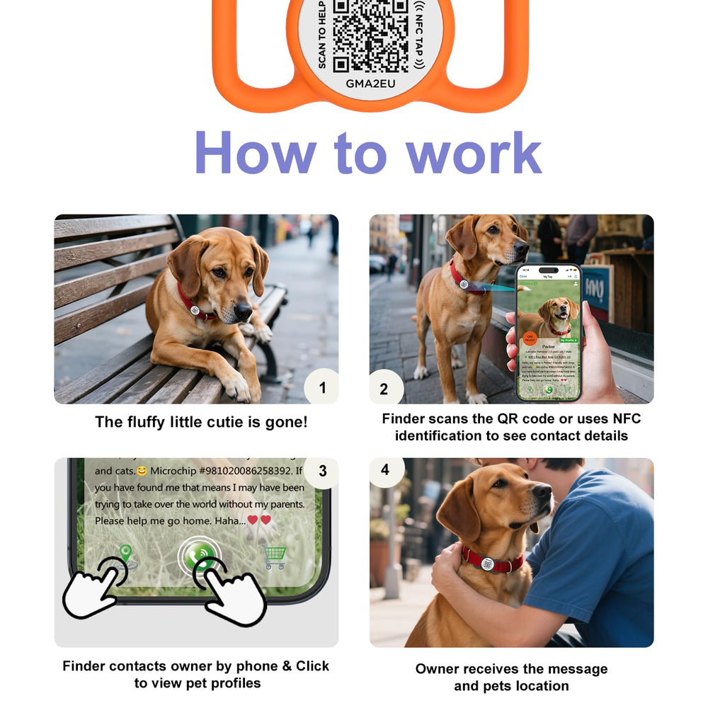 WhoseID collar-attachment-ready tag demonstrates easy clip-on compatibility for various collars.