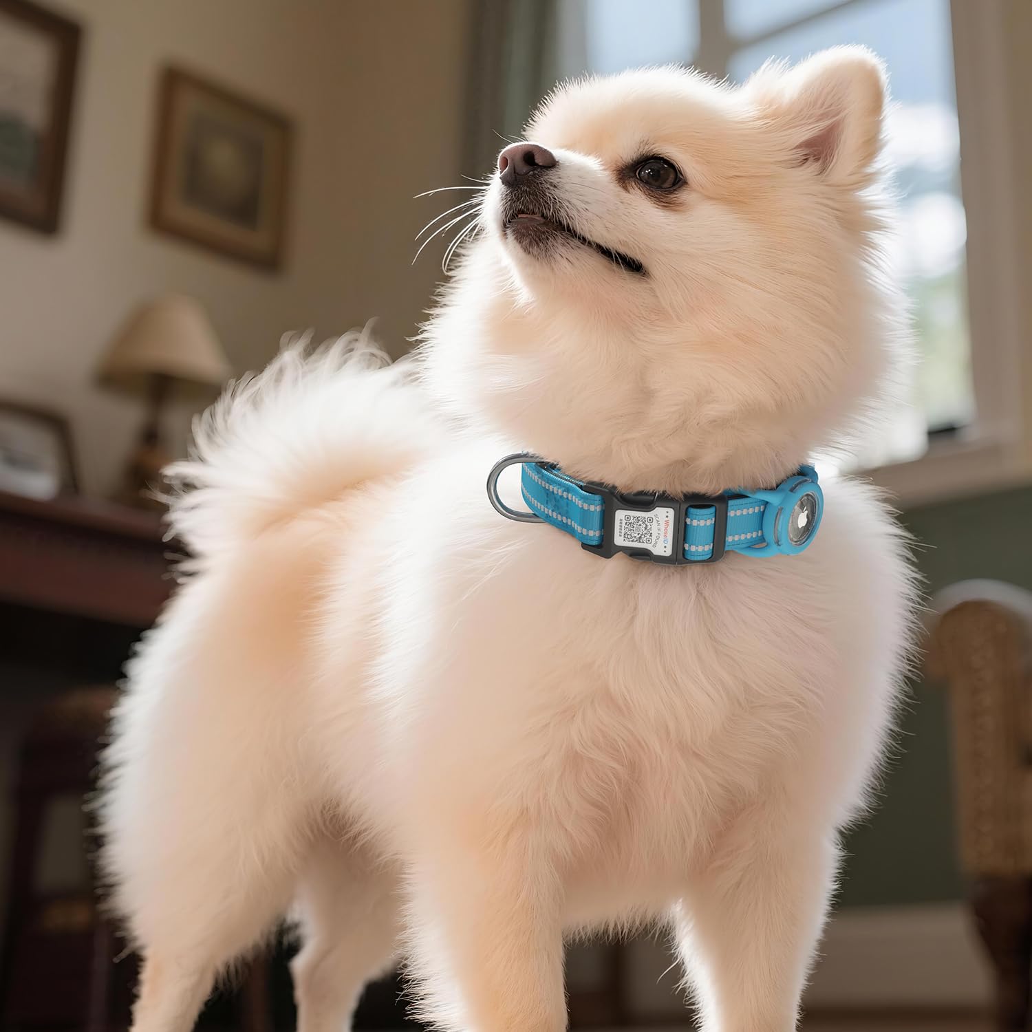 WhoseID safety-focused design blends comfort, visibility, and smart ID for peace of mind