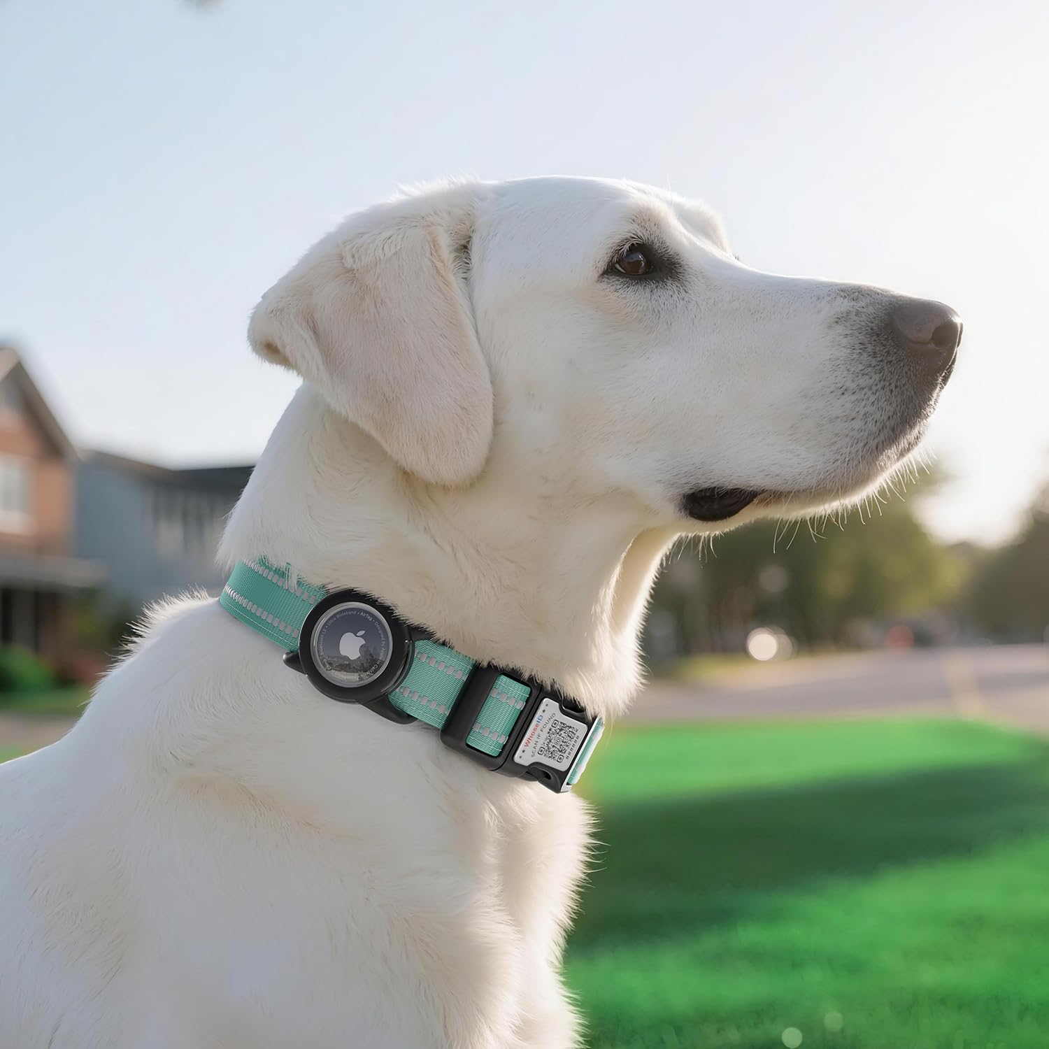 WhoseID qr-code-buckle-id-tag enables quick scanning to share pet details