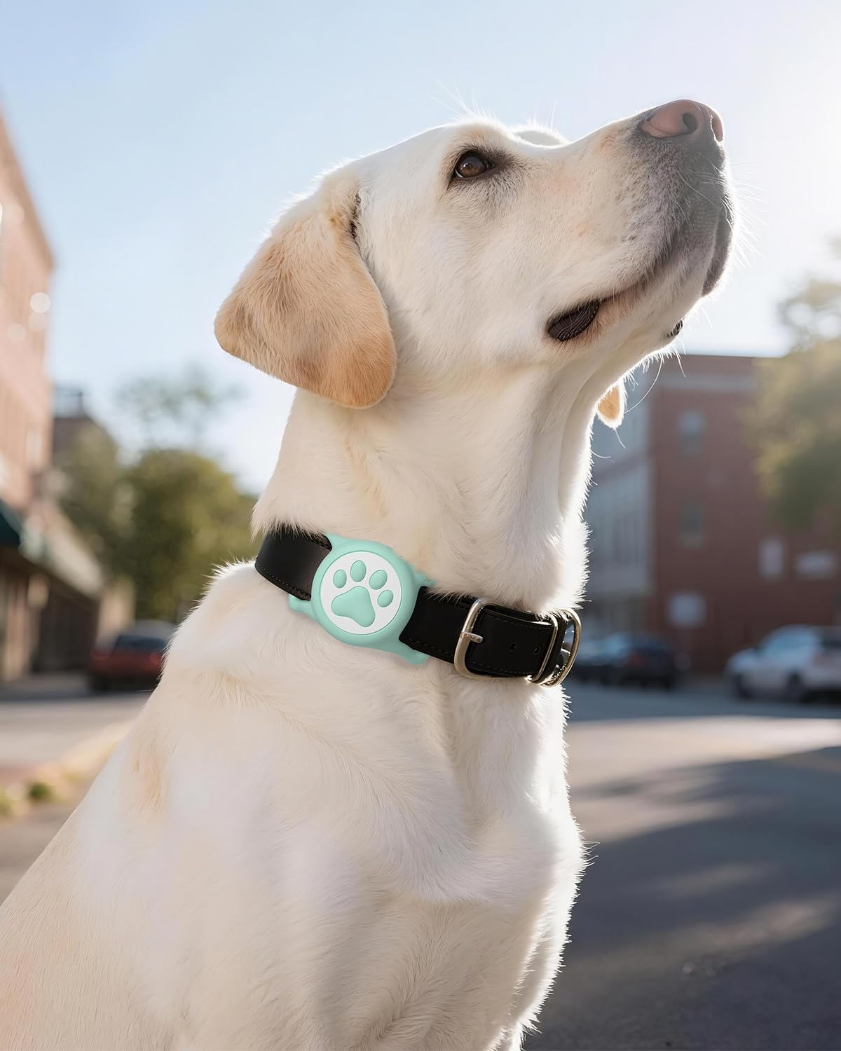 WhoseID AirTag Holder cat collar-use ideal for cats' collars.