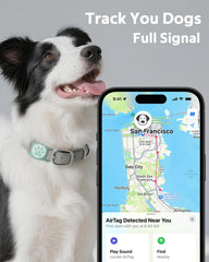 WhoseID AirTag Holder dog collar-fit secures AirTag neatly on dog collars.