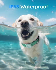 WhoseID AirTag Holder stretchable-collar-strap provides flexible fit for various pet collars.