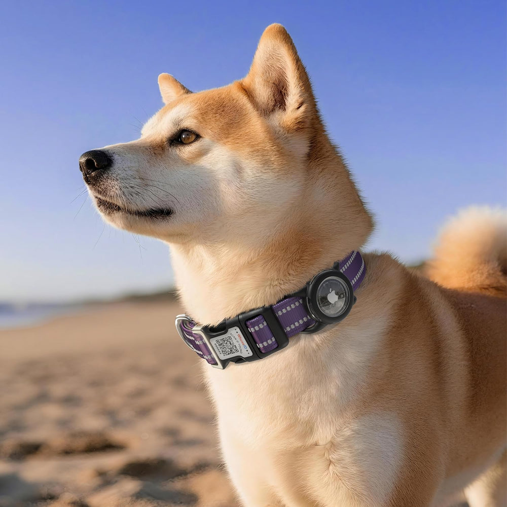 WhoseID purple-colored collar adds style while maintaining safety features.