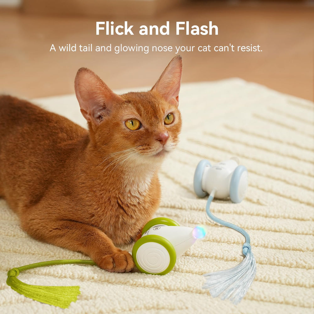 Cheerble Wicked Mouse Neo rechargeable design eliminates frequent battery changes.