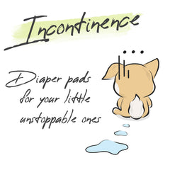 WICKEDPUP absorbent-booster-pad-dogs highlights extra absorbency for leak-free diaper wear.