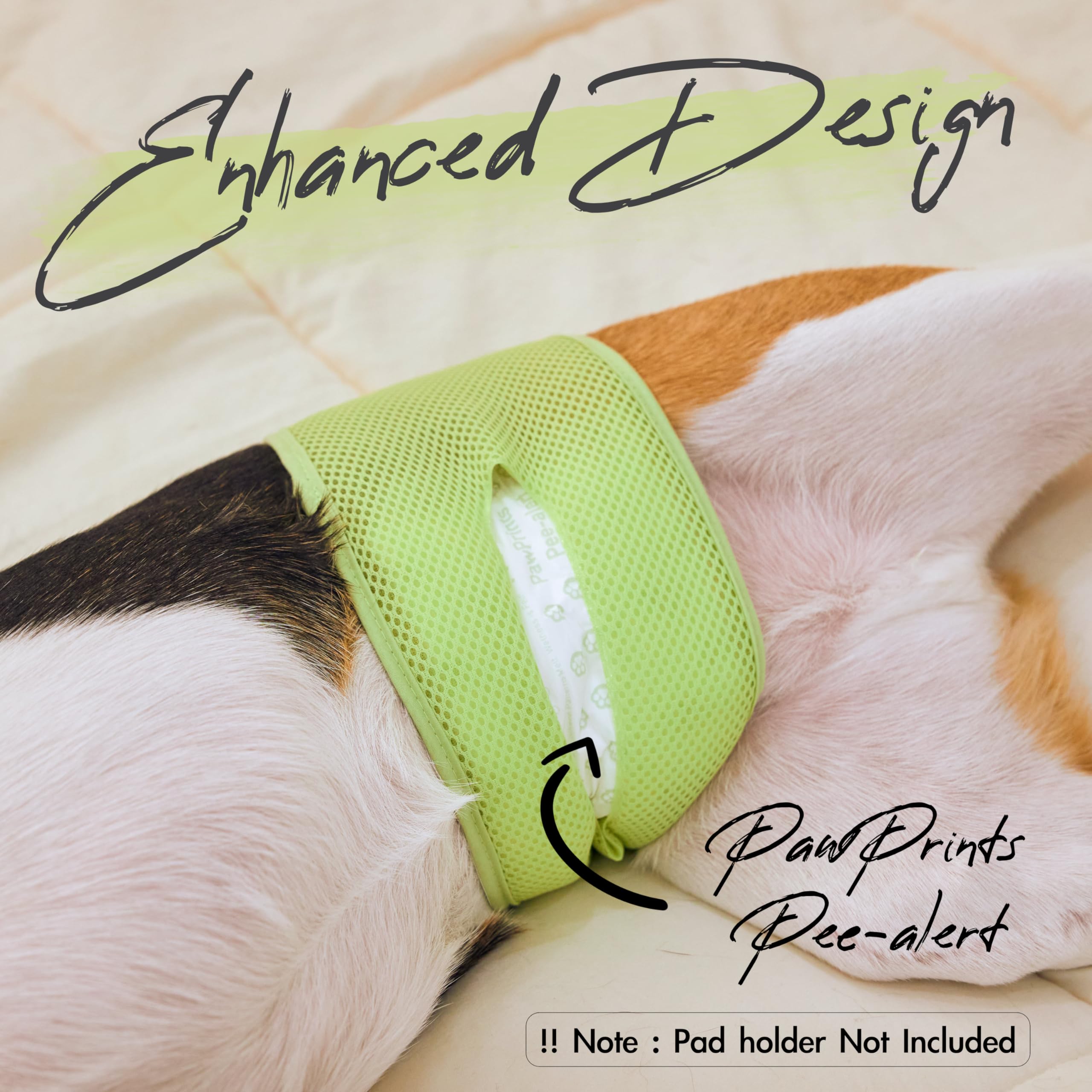WICKEDPUP-made-in-south-korea-boosters emphasizes careful craftsmanship and reliable performance for pet care.