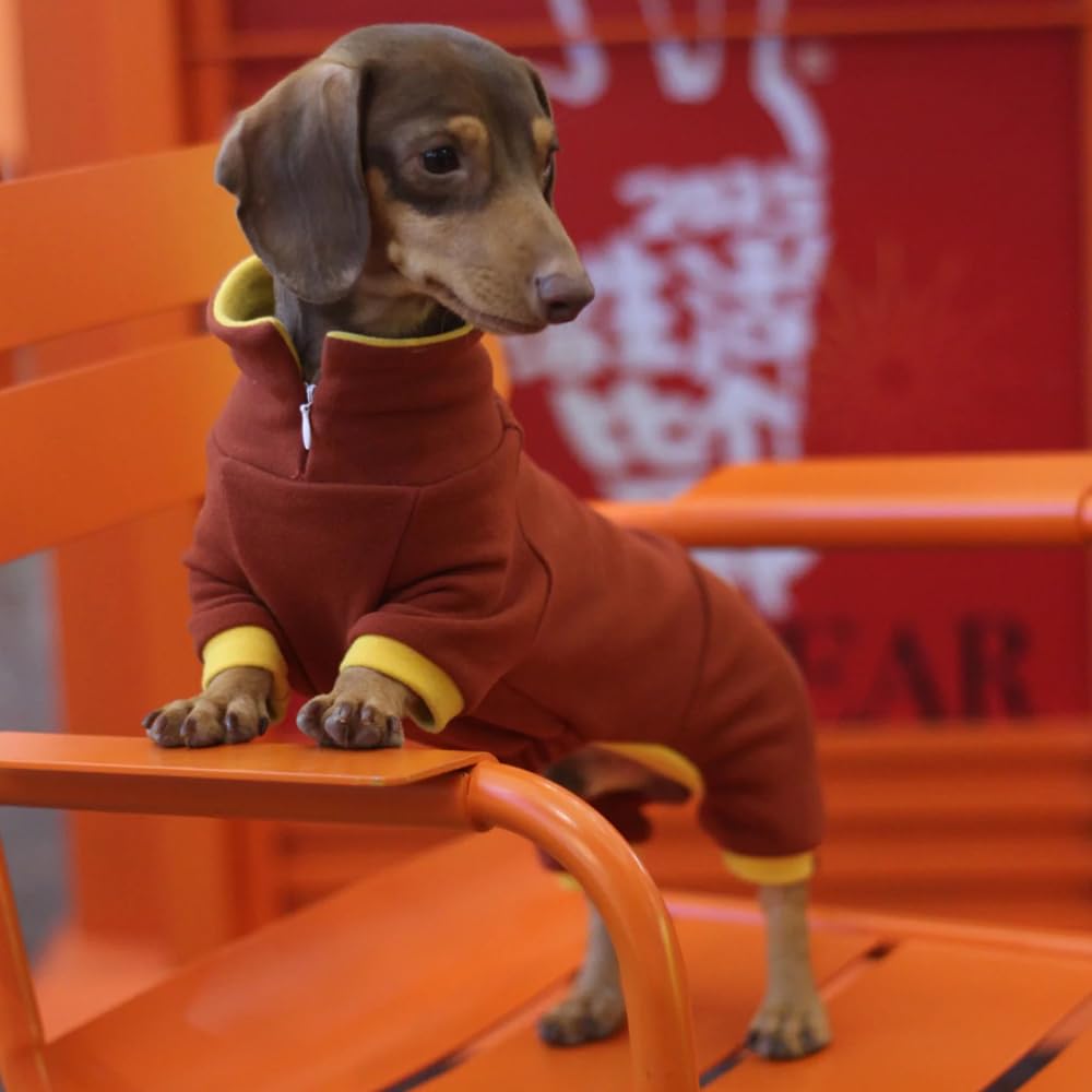 WienieDay dachshund sweater red adjustable polo collar with zipper for easy dressing