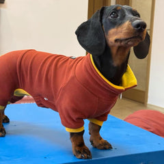 WienieDay dachshund sweater red four-leg design provides full-body warmth