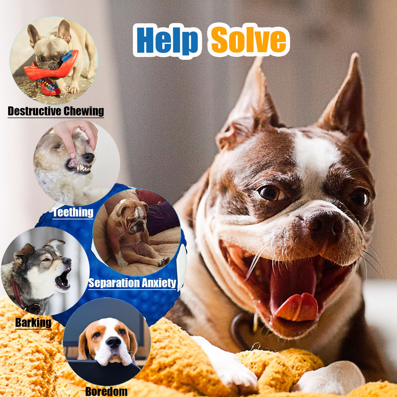 Wieppo Soft Squeaky Dog Ball outdoors ready for fetch.