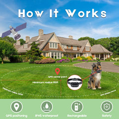 WIEZ GPS dog fence collar worn demonstrates gentle guidance during real-world walks.