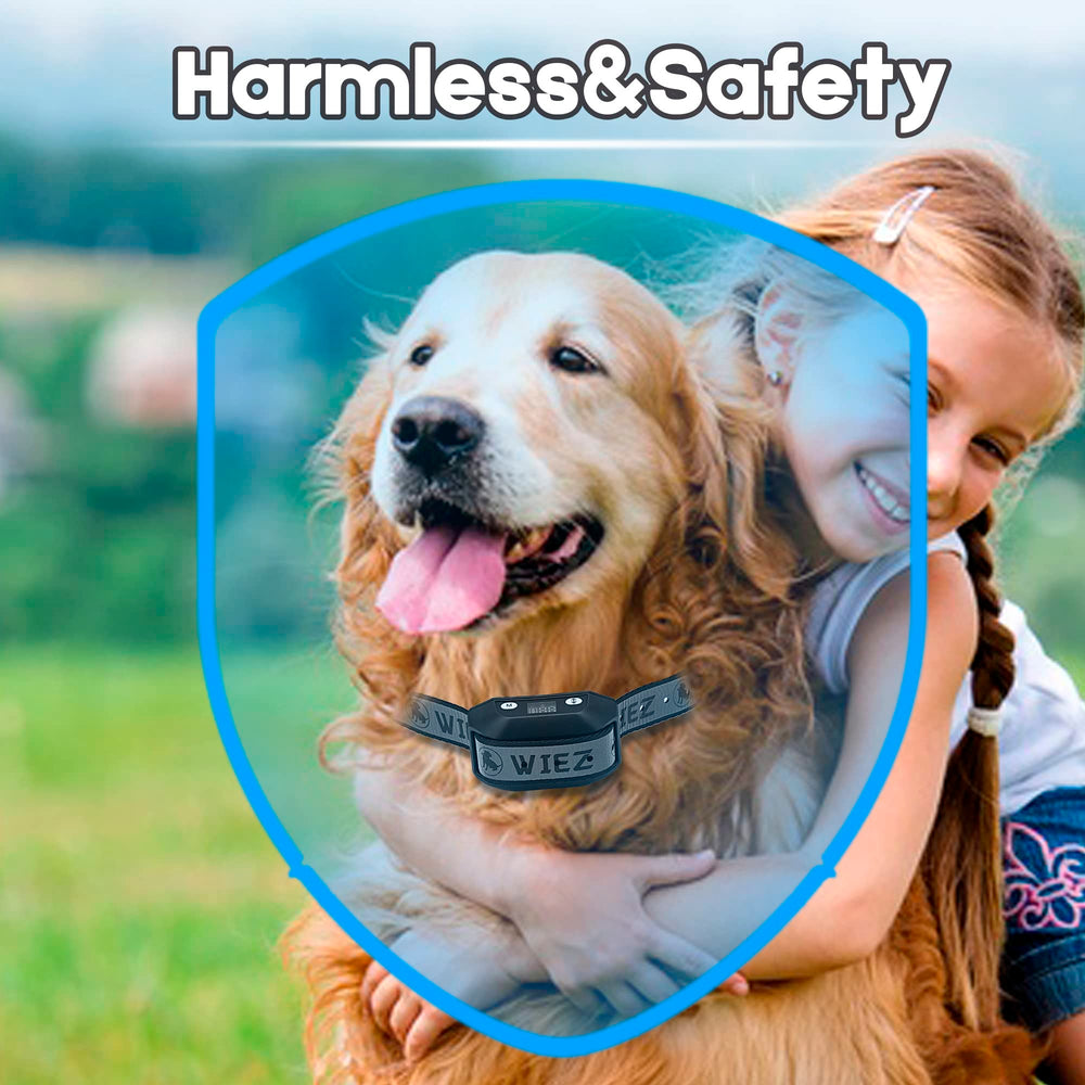 WIEZ GPS dog fence lightweight collar enables portable outdoor containment.