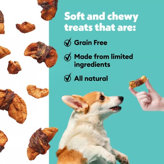 Wiggles & Wags Chicken & Apple Twists puppy joy shot captures flavorful bites dogs love.
