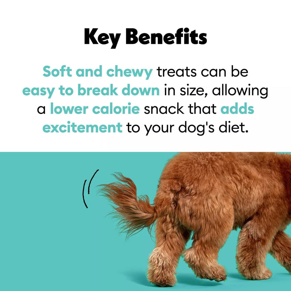 Wiggles & Wags Meaty Bars dog enjoying treat demonstrates a happy snack moment.