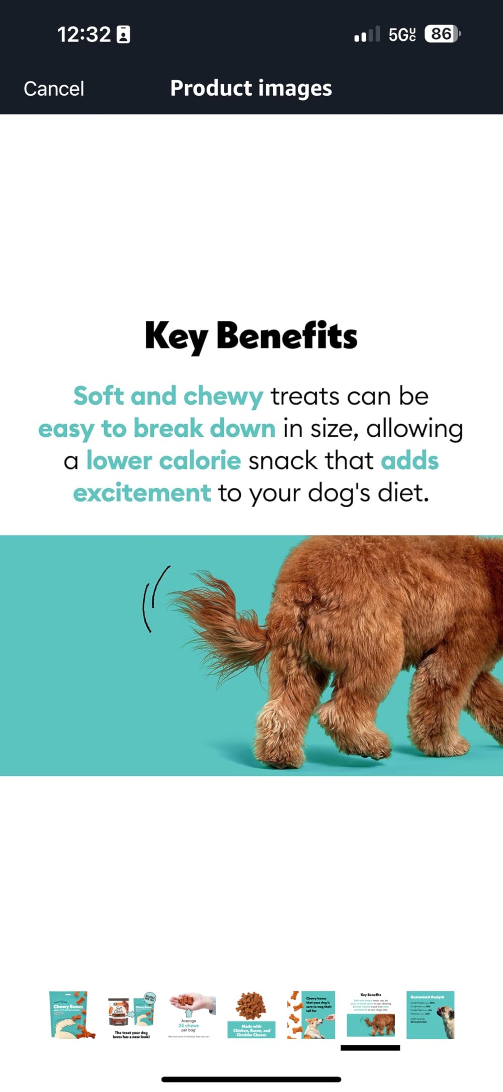 Wiggles &amp; Wags turquoise packaging with wagging tail graphics, easy to spot during playtime.