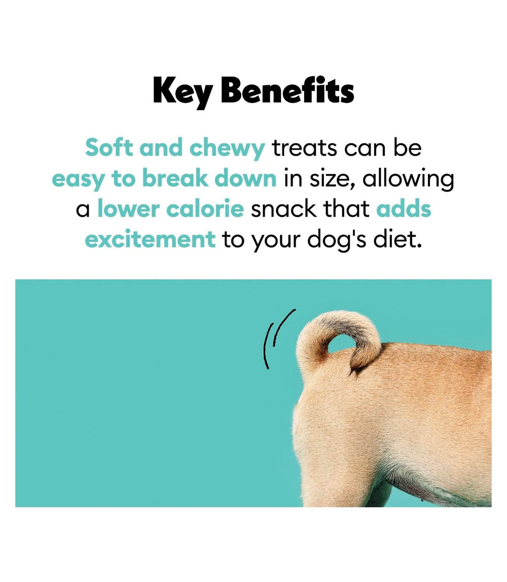 Wiggles & Wags DN Essentials dispenser on walks