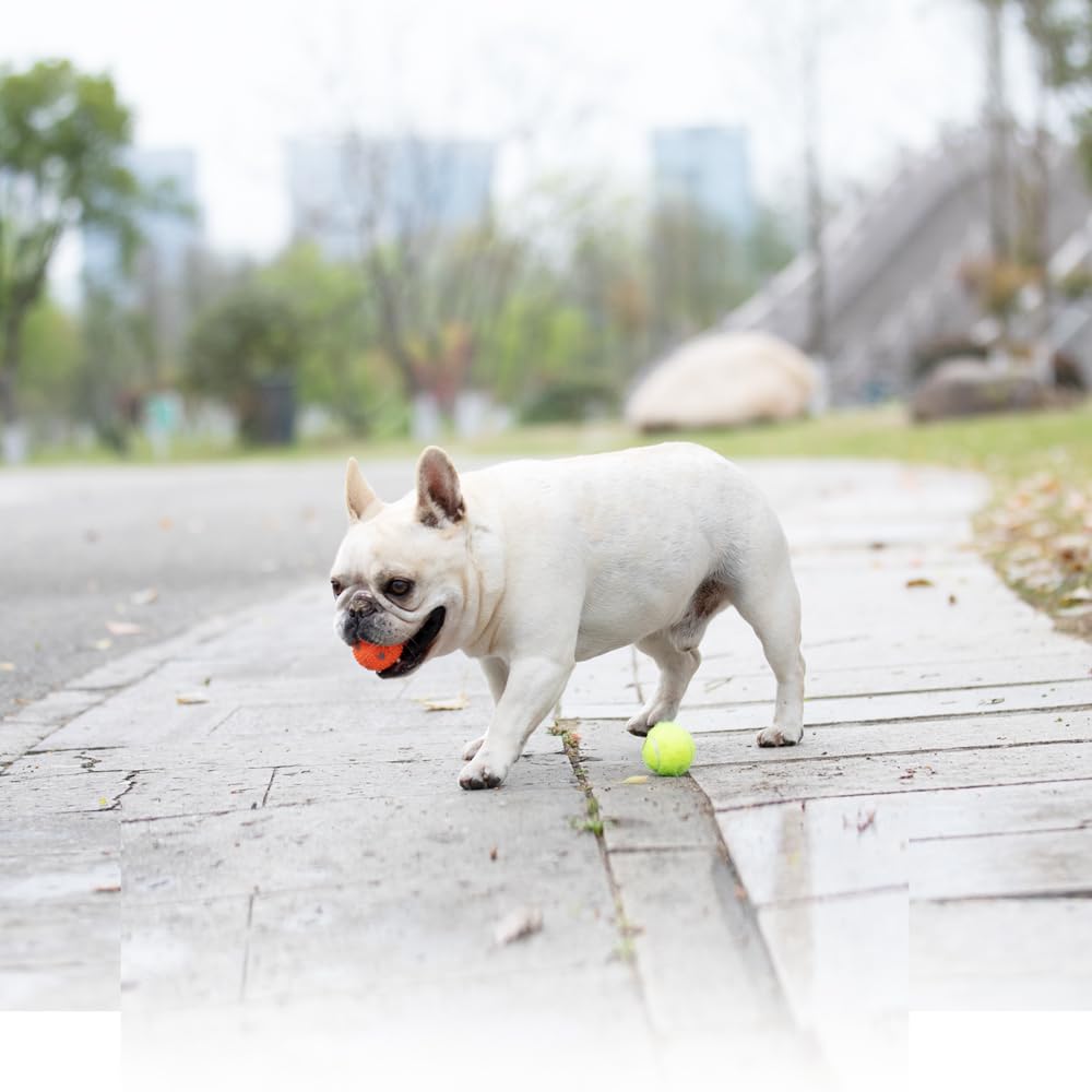 WIGGLYTAIL 2-inch diameter balls for small dogs, easy to handle