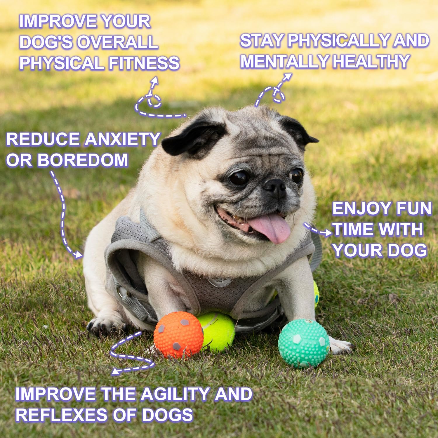 WIGGLYTAIL 2-inch size close-up showing compact balls for small dogs