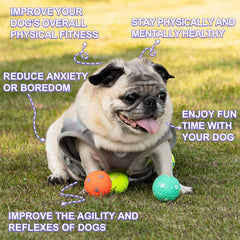 WIGGLYTAIL 2-inch size close-up showing compact balls for small dogs