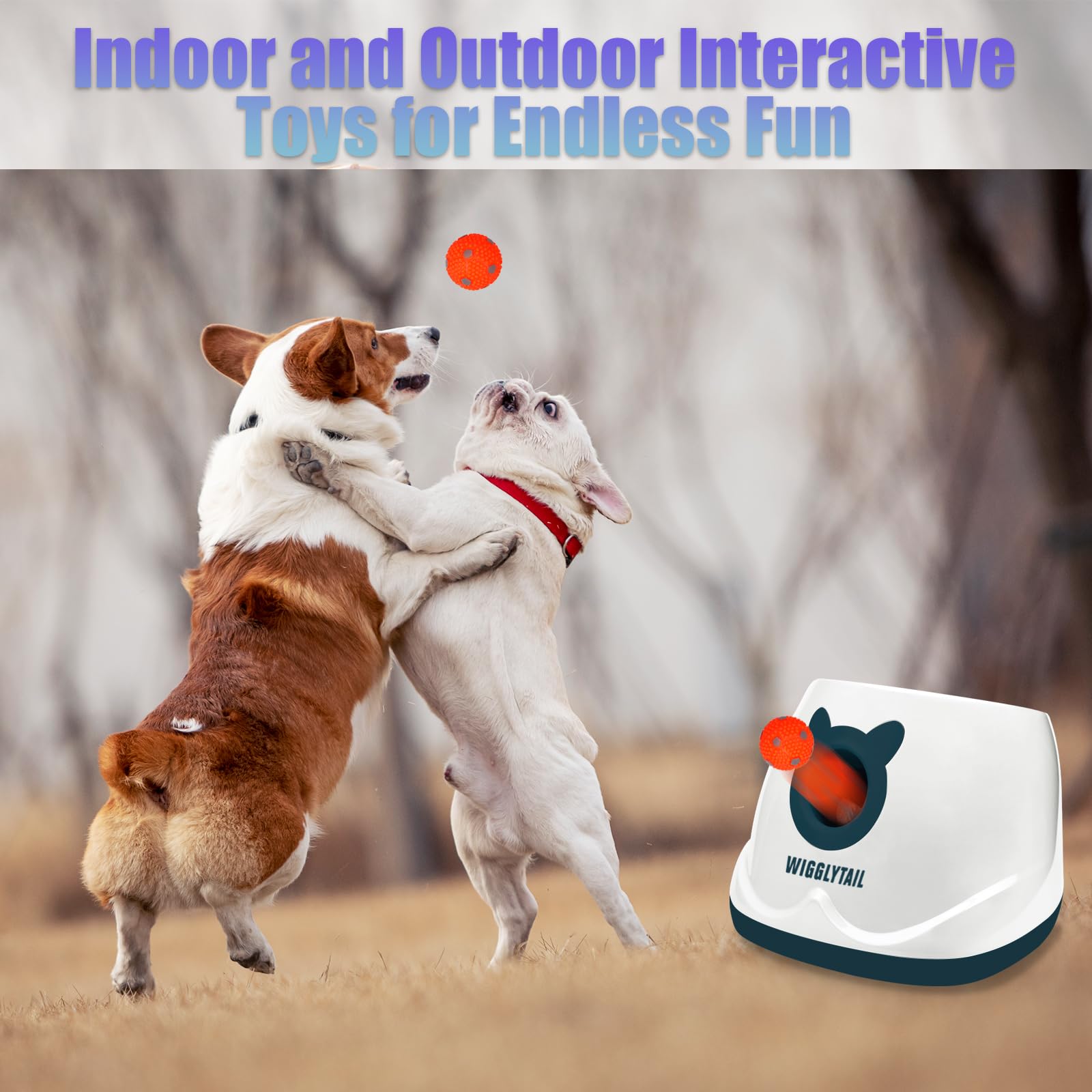 WIGGLYTAIL four-launch-modes image demonstrates distance variety.