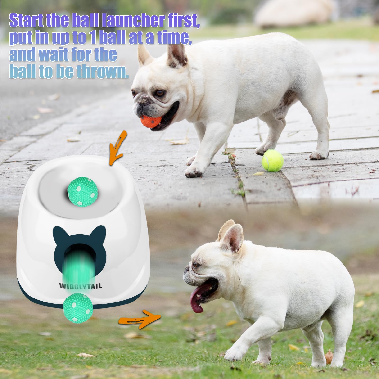 WIGGLYTAIL puppy indoors playing with launcher demonstrates safe interactive exercise.