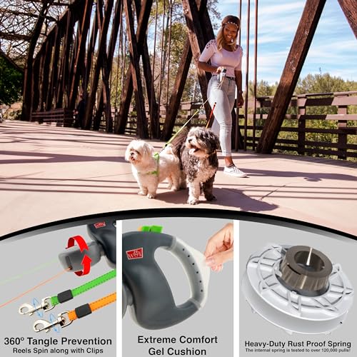WIGZI 2025 color-coded leads and brakes for quick dog identification