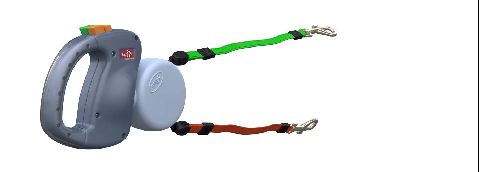 WIGZI 2025 two dogs walking side by side in a park