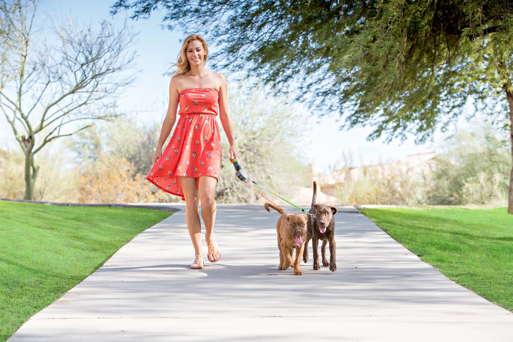 WIGZI reflective leads improve nighttime visibility for safer walks.