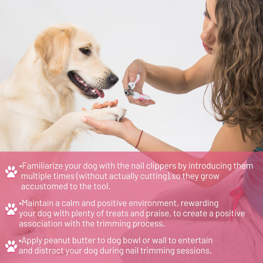 Wikdey dog grooming kit fullset display showing complete at-home toolset