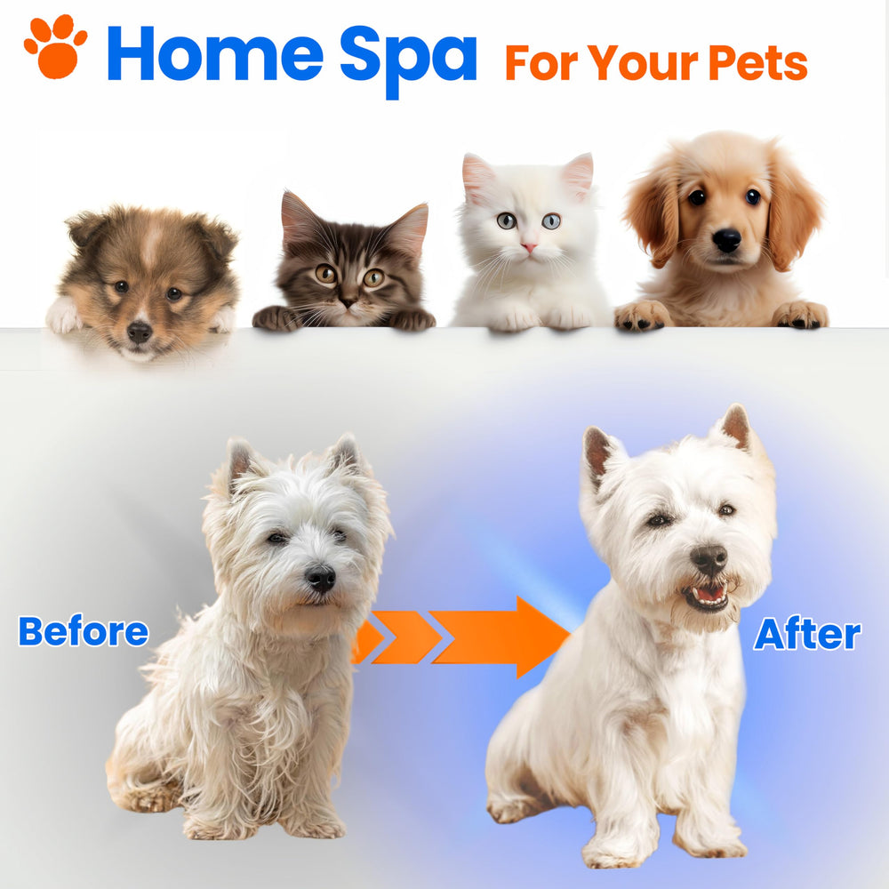 WIKIAZON pet steam brush during a grooming session showing soothing massage