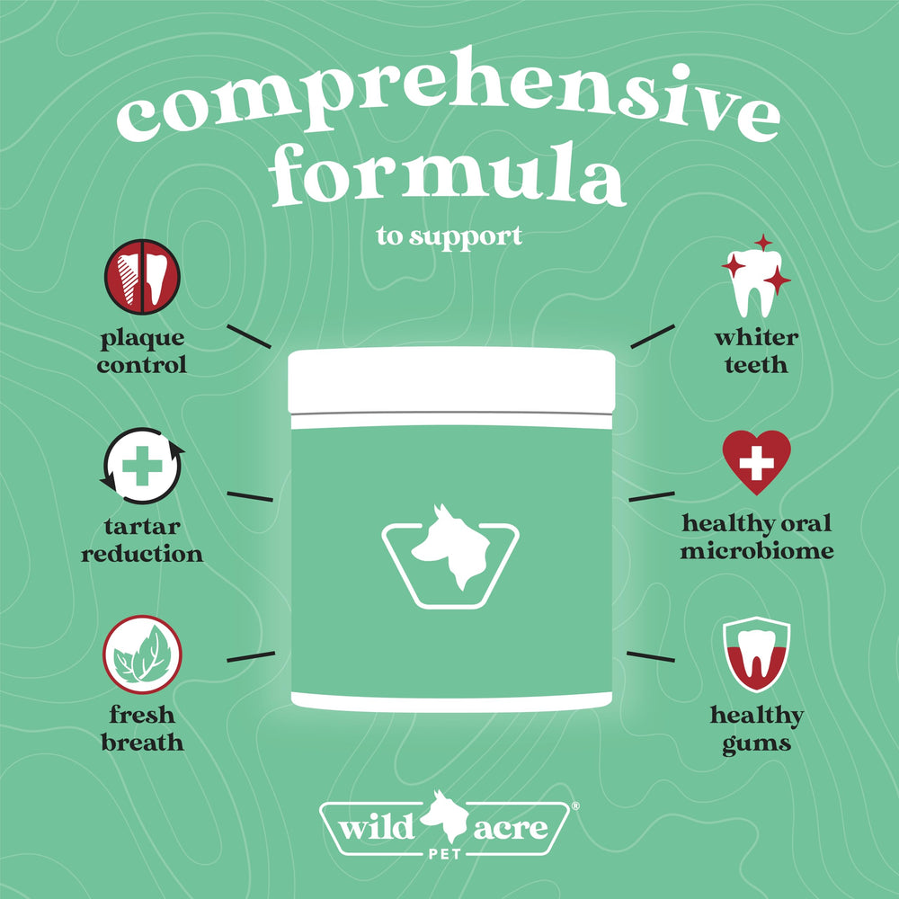 Wild Acre dental powder with wooden scoop and natural ingredients.