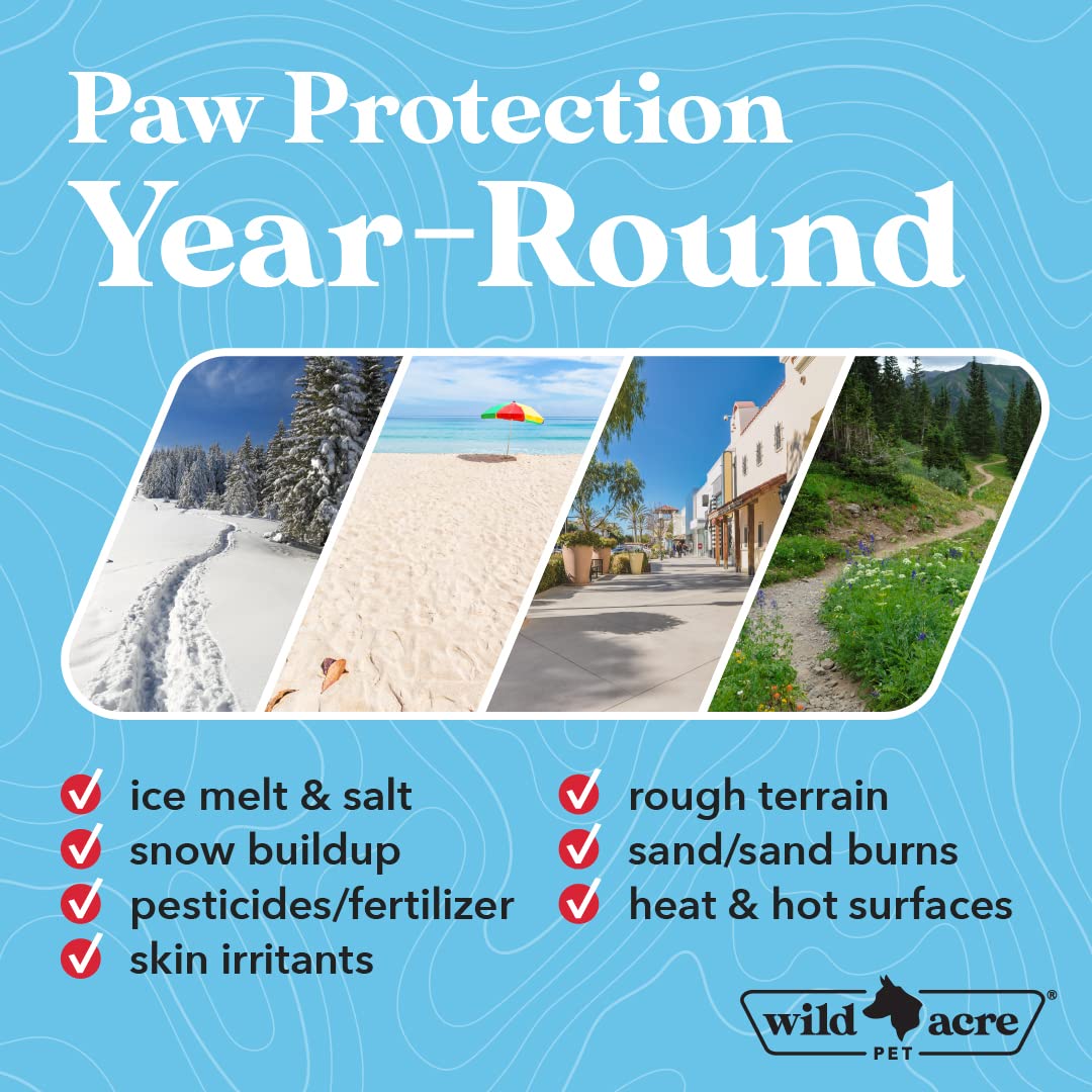 Wild Acre dog enjoying outdoor hike with paw balm protection.