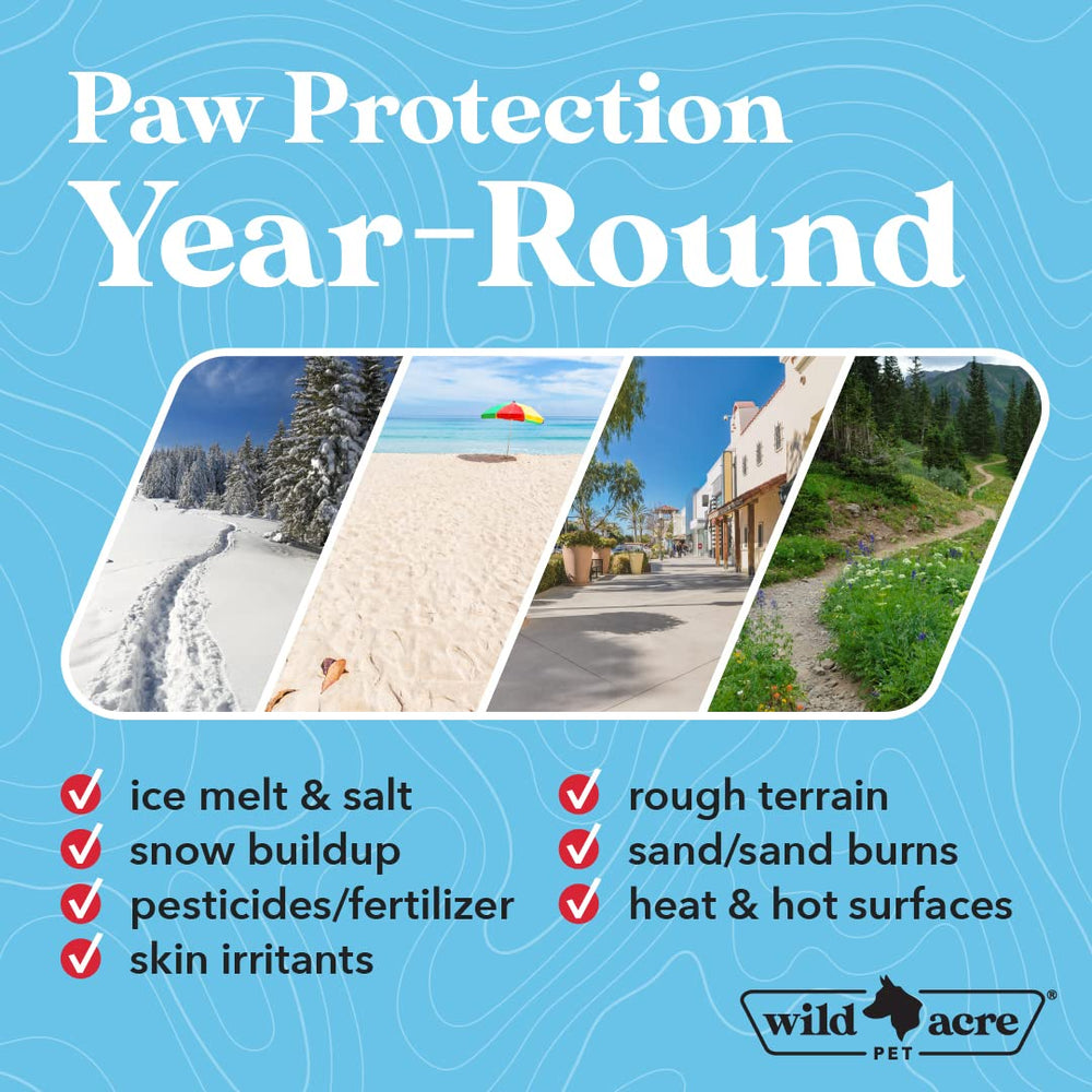 Wild Acre dog enjoying outdoor hike with paw balm protection.
