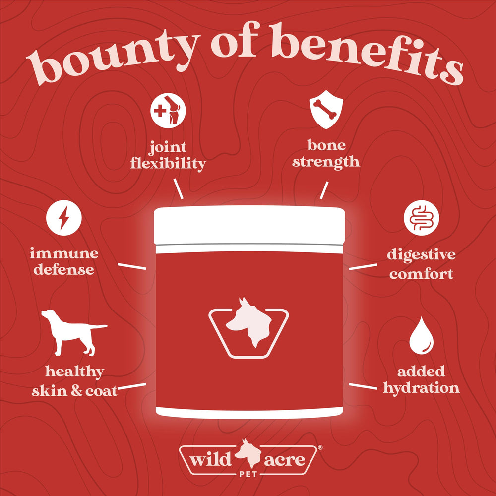 Wild Acre bone broth promotes flexible joints and mobility in dogs.