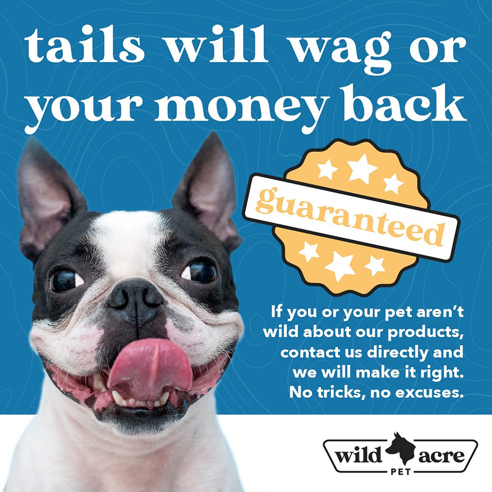 Wild Acre easy-stick application on dog paw balm for quick care.