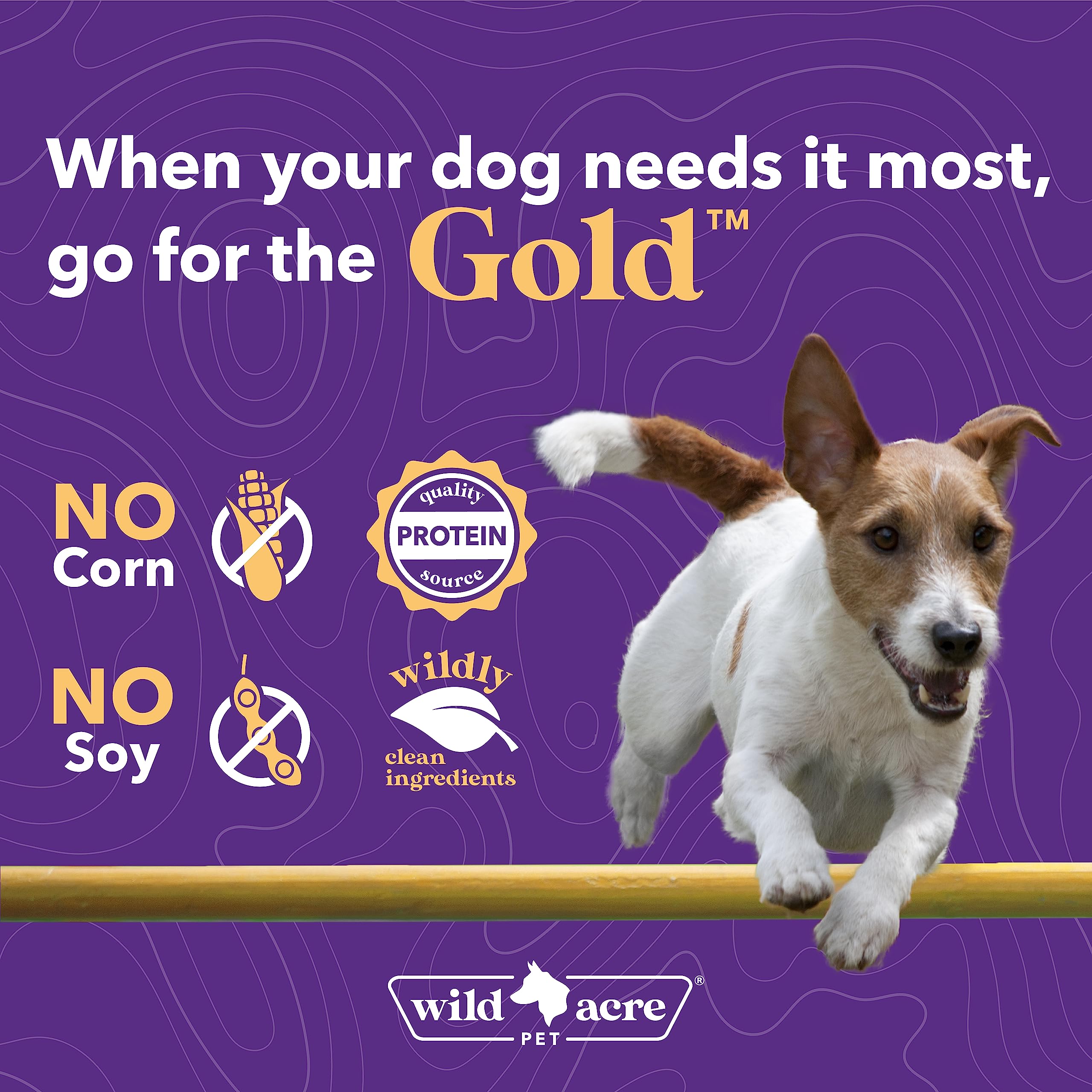 Sprinkling Wild Acre goat milk powder on meals for pets